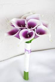 We did not find results for: Wedding Bouquet Purple Bouquet Purple Calla Bouquet Picasso Etsy In 2021 Calla Lily Bouquet Wedding Flower Bouquet Wedding Silk Flower Wedding Bouquet
