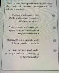 While eukaryotic cellular respiration occurs in mitochondria. Which Of The Following Statement Best Describes The Chegg Com
