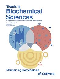 We did not find results for: Trends In Biochemical Sciences Cell Press