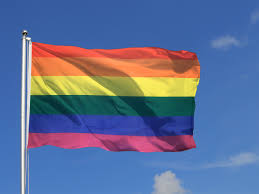 Viele heterosexuelle zeigen durch die flagge ebenfalls ihre verbundenheit und unterstützung. Regenbogen Flagge Kaufen Flaggenplatz Shop