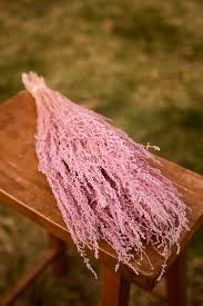 Image result for Stoebe