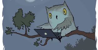 10 Flexible Jobs For Night Owls And Early Birds Flexjobs Flexible Jobs Owl Job