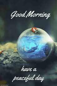 Best Good Morning HD Images, Wishes, Pictures and Greetings