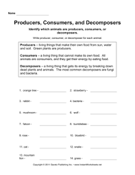 This Activity Would Be Great For 4th Graders To Understand The Difference Between Producers Consumers Decomposers Decomposers Science Social Studies Worksheets