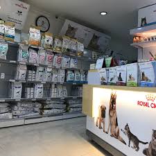 Groovy vetcare clinic, jakarta, indonesia. Photos At Pet Vet Clinic Jakarta Selatan 1 Tip From 50 Visitors