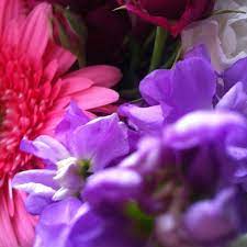 Maybe you would like to learn more about one of these? Holliday Flowers Midtown 1149 Union Ave