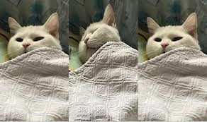 Hoy hace 10 que un seísmo de 9 grados desencadenó un tsunami que barrió la zona y que causó graves daños en la el temblor ha tenido lugar al norte de nueva zelanda, y el aviso de tsunami se había extendido también a sigue las últimas noticias sobre eclipses solares en eitb.eus. Temblor Redes Llenas De Memes Tras Seguidilla De Sismos Rock Pop