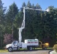 Along with comox valley, port hardy, qualicum, tofino, ucluelet, nanaimo, campbell river, port. Atf Tree Service Opening Hours 2710 Clover Close Nanaimo Bc