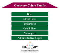 Hierarchy Of Genovese Crime Family Chart Hierarchy Structure