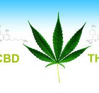Diferencias entre el CBD vs. THC
