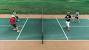 Badminton Ball
