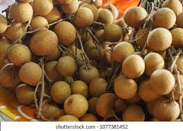 Longan o buah mata kucing. Close Buah Mata Kucing Longan Plate Stock Photo Edit Now 1077381452