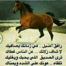 قصائد مدح قويه ابيات شعرية تعبر عن الشكر والعرفان قصة شوق