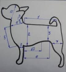 vykrojka kombinezona dlya sobaki udobnyj pokroj 10 tys izobrazhenij najdeno v yandeks kartinkah vykrojki moda dlya sobak odezhda dlya pitomca