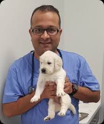 This place provides incredible service at an amazing price. Vcare Animal Clinic Cypress Tx Our Doctors And Staff