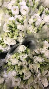 Visitors are welcome to pick their own blackberries, flowers (zinnias and sunflowers), and blueberries (of which there are over 2,000 bushes). Socal Flower Supply Inc Home Facebook