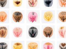 The vulva gallerie