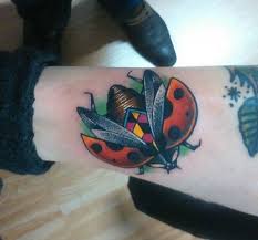 Coccinelles Tatouage Coccinelle Tatouage Coccinelle