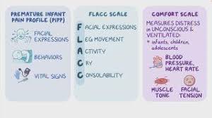 Image result for FLACC Scale