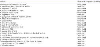 Image result for Anisopappus kirkii