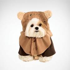 Comment below and let us know! Dog Costumes Pet Halloween Costumes Party City