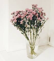As soon as you cut a flower. How To Make Fresh Flowers Last Longer 24hrs City Florist
