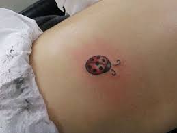 Colored flowers and ladybug tattoo on upper back. 16 Ladybug Tattoo Ideas Small Tattoos Tattoos Lady Bug Tattoo