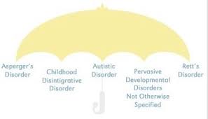 Debrabander, kilee m et al. What Is Autism In Simple Terms No Medical Jargons
