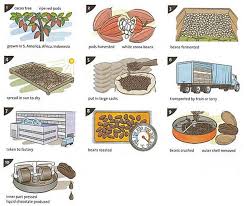Pin By Roberto Vailatti On Book Discussion How To Make Chocolate Ielts Writing Writing Tasks