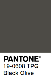 Black Olive Pantone Pantone Palette Dark Color Palette Pantone Colour Palettes