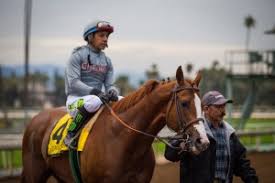 Stud Notes California Chrome Thoroughbred People Blog