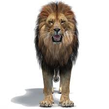 Lion Polygonal Mane 3d Model Bolshie Koshki Zhivotnye Koshki