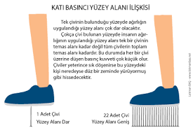 Kati Basinci Yuzey Alani Iliskisi Bolum 1 Basinc Nedir Katilarda Basinc Ders Notu Konu Ozeti 1 8 Sinif 3 Unite Basinc Ders N Kuvvet Ve Hareket Sinif