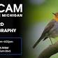Bird Photography