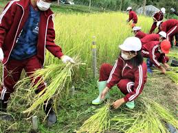 ライブドアブログ