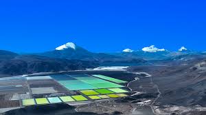 Home-Zijin Mining Group Co., Ltd.