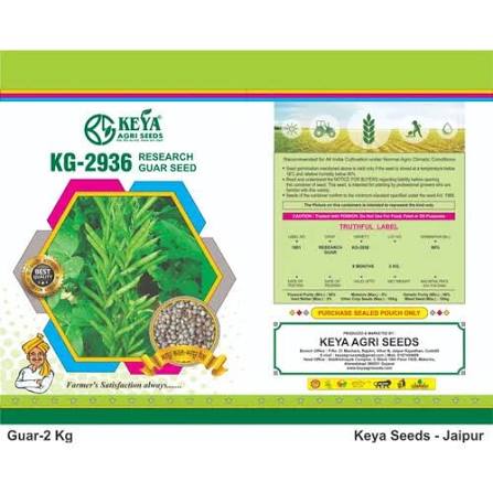 Kg 2936 Guar Seed - Cultivation Type: Conventional at 270.00 INR in Ahmedabad | Keya Agri Seeds