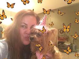 Happy birthday to 17-year-old chihuahua queen