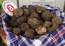 Ma anche in frigorifero, avvolto in carta da cucina o sott'olio. Pulire E Conservare Il Tartufo Consigli Idee Per Usarlo In Cucina
