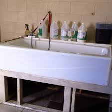 Pin By Jari Decker On Dreaming And Randomness Diy Dog Stuff Diy Dog Wash Dog Washing Station