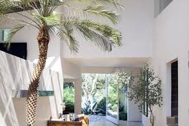 Tanaman sirih belanda atau dikenal juga dengan sebutan ivy merupakan tanaman dalam ruangan untuk kesehatan yang paling efektif menyerap formaldehida. 10 Jenis Tanaman Terbaik Untuk Halaman Rumah Kesayangan