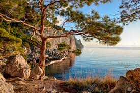 Became independent upon the breakup of the u.s.s.r. Sommer Landschaft Mit Bewaldeten Klippen Am Meer Schwarze Meer Sudkuste Der Krim Ukraine Europa Lizenzfreie Fotos Bilder Und Stock Fotografie Image 26522546