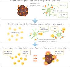 Definition vaccination is the use of vaccines to prevent specific diseases. What Is A Cancer Vaccine Tella Inc A Research And Development Company For Cancer Treatment Denderitic Cell Vaccine Peptide Vaccine Cancer Vaccine And Cancer Immunotherapy And Regenerative Medicine