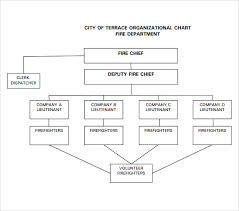 22 images of fire department organization chart template