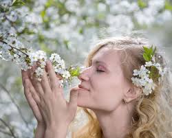 Fille photo stock. Image du joyeux, beau, buisson, fille