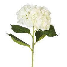 We did not find results for: Faux Mop Head Hydrangea Flower Stem Long Oka