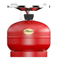 Gonaturs Portable Lpg Single Burner Stove With Ignition And 2 Kg Gas Cylinder For Outdoor Backpacking Camping Picnic Buy Online In Grenada At Grenada Desertcart Com Productid 176405779
