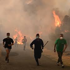 Europe’s air temperatures becoming ‘dangerously high’, amid record heatwaves in 2025