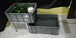 2 reka bentuk akuaponik 2.5.1 bahagian 2. Set Mini Akuaponik Sifon Abi Agro