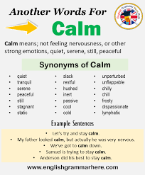 Another Word For Calm What Is Another Synonym Word For Calm Every Language Spoken Around The World Has Its Own C In 2021 Learn A New Language Words Learning Process